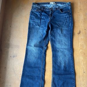 Maurices Orchid Boot Cut - Size 18